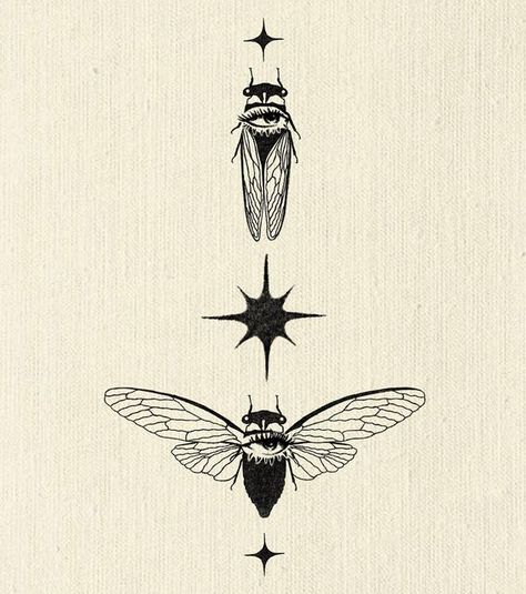 Specimen Tattoo, Cicadas Tattoo, Fly Tattoos, Solarpunk Tattoo, Insect Neck Tattoo, Bug Spine Tattoos, Bug Back Tattoo, Cool Bug Tattoos, Beetle Tattoos