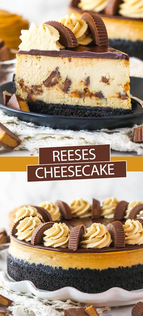 With peanut butter and Reese’s cups in the filling and a chocolate ganache layer on top, this Reese’s Cheesecake recipe is full of chocolate-y peanut butter goodness. If you love Reese’s cups, you won’t be able to resist this cheesecake! Peanut Butter Dessert Ideas, Cheesecake Reeses, Reeses Cheesecake Recipes, Peanut Butter Cup Desserts, Reese Peanut Butter Cheesecake, Reese Cheesecake, Reese’s Desserts, Chocolate And Peanut Butter Cheesecake, Cheesecake Recipes Reeses