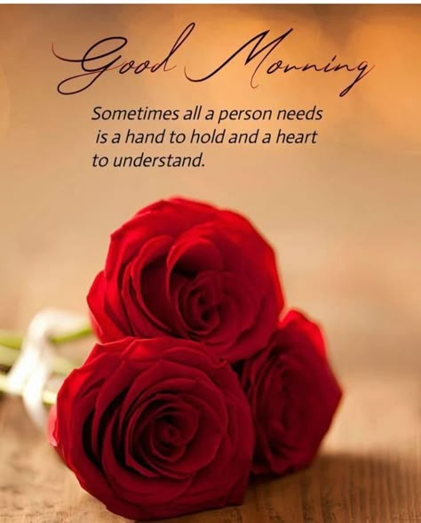 Morning Roses Beautiful Flowers, Good Morning Roses Images, Morning Texts For Boyfriend, Good Morning Texts For Boyfriend, Texts For Your Boyfriend, Simple Good Morning Texts, Simple Good Morning Texts For Him, Texts For Boyfriend, Simple Good Morning