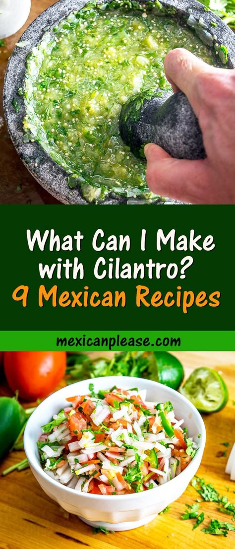 Uses For Cilantro Recipe, Dips With Cilantro, Cilantro Vegetarian Recipes, Ways To Use Cilantro, Chicken With Cilantro Recipes, Cilantro Recipes Ideas Dinners, Cooking With Cilantro, Recipes Using Fresh Cilantro, Dried Cilantro Uses