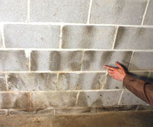 Sealing Basement Walls, Clean Basement, Basement Renovations Ideas, Waterproof Basement, Basement Upgrades, Waterproofing Basement Walls, Leaky Basement, Concrete Basement Walls, Basement Repair