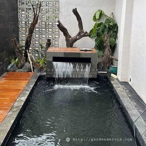 Kolam Koi, Koi Pond, Semarang, Malang, Jakarta, Koi