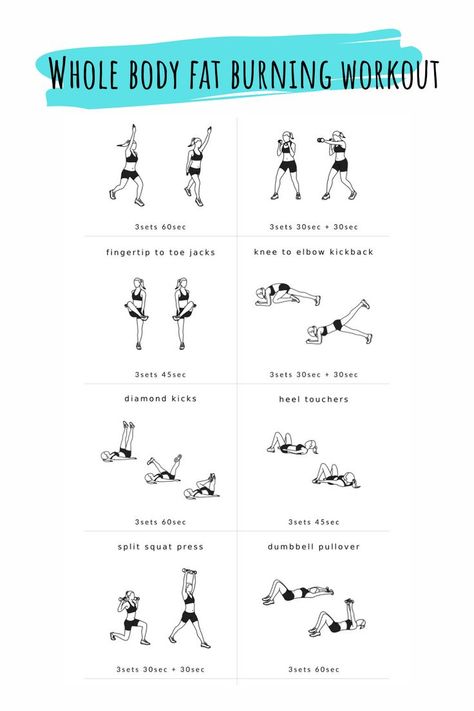 Easy Whole Body Workout At Home, Whole Body Fat Burning Workout, Whole Body Workout Gym, Whole Body Workout At Home, Fat Burning Workout At Home, Workouts For Gym, Full Body Fat Burning Workout, Workouts To Burn Fat, Fat Burn Workout