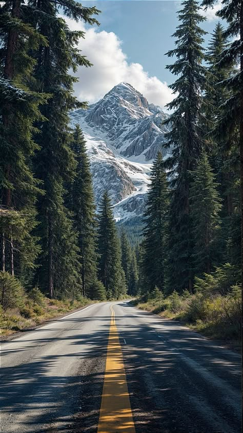 Canada Wallpaper Backgrounds, Forest Scape, Windows Xp Wallpaper, Puffy Clouds, Mountains Aesthetic, Dense Forest, Iphone Wallpaper Landscape, Image Nature, Mountain Wallpaper