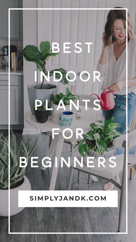 Best Indoor Plants for Beginners - Home Decor Take care of plants Best Indoor Plants For Beginners, Easy Indoor Plants, Pothos Plant, Best Indoor Plants, Houseplants Indoor, Herbs Indoors, Easy Plants, House Plant Care, House Plants Indoor