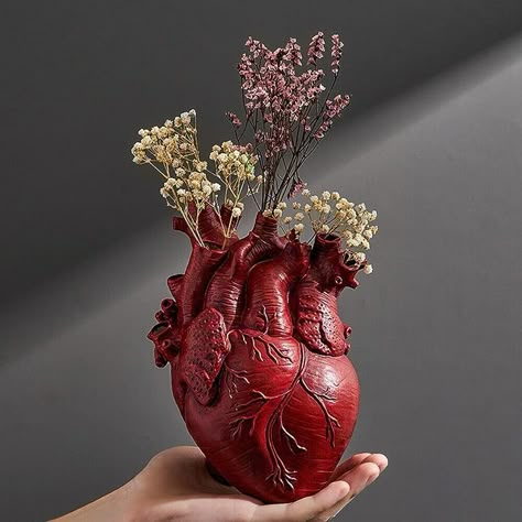 Heart Organ, Heart Shaped Vase, Biscuit Ideas, Anatomy Sculpture, Heart Vase, Human Sculpture, Anatomical Heart, Sculpture Ideas, Container Flowers