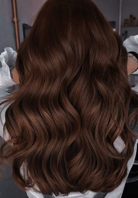 Chocolate Bronze Hair, Cool Brown Vs Warm Brown Hair, Brown Hair Color For Neutral Skin Tone, Gloss For Brown Hair, Brown Hair Colors Solid, Chocolate Colour Hair, Hair Dye Ideas No Bleach, Brown Hair For Spring, Curly Hair Chocolate Brown