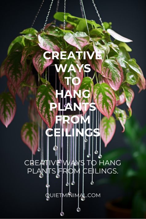 Get tips for hanging plants from the ceiling. Learn how to choose, hang, and care for your greenery. #HangingTips #CeilingPlants #IndoorGreenery #PlantCare Hanging Plants From Drop Ceiling, Hanging Plant Indoor Decor, Make Hanging Planter, Dining Room Hanging Plants, Hanging Plant By Window, Hanging Planter In Bedroom, Plants Ceiling Hanging, Hanging Decor Ideas From Ceiling, Hallway Plant Wall