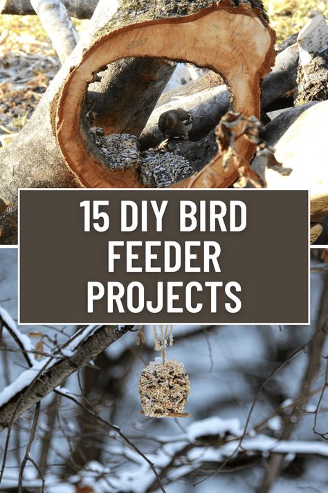 Attract Birds to Your Backyard With These DIY Feeder Ideas Finch Feeders Diy, How To Make A Bird Feeder Diy, Coconut Bird Feeder, Hummingbird Nesting House, 4x4 Bird Feeder Post Ideas, Building A Bird Feeder, Diy Woodpecker Feeder, Diy Finch Feeder, Diy Bird Feeder Station