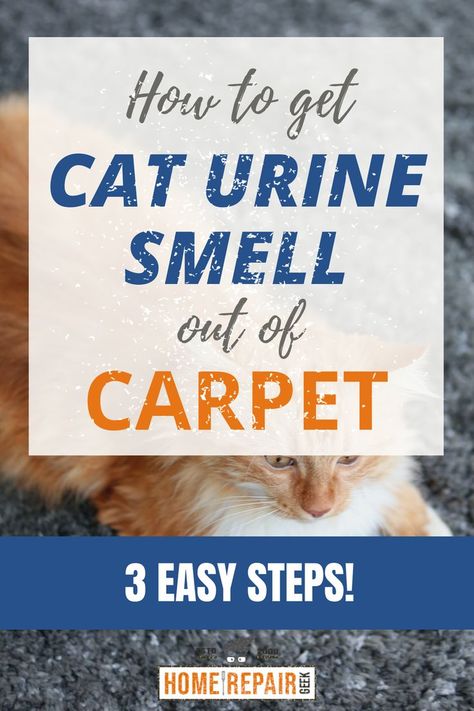 Title for removing cat urine smells from carpet and rugs. How To Clean Cat Urine Out Of Carpet, Cleaning Cat Urine From Carpet, Remove Cat Urine Smell From Carpet, How To Get Rid Of Cat Urine Smell Carpet, Remove Cat Urine From Carpet, How To Get Cat Pee Out Of Carpet, Cat Urine Out Of Carpet, Cat Urine Smell Remover, Urine Smell Out Of Carpet