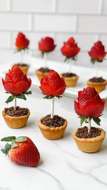 Stephanie Niemis on Instagram: "🌹Flower Pot Sugar Cookies → A strawberry rose in a sugar cookie flower pot filled with dirt made of chocolate mousse and cookie crumbs.🌹 ⭐️ Follow for more simple, healthier, fun recipes ⭐️ My kids were pretty obsessed with these, and I was thinking they would be a fun Mother’s Day dessert! The strawberry roses look fancy, but they’re actually super easy to make. So many of the ingredients I used came from @‌ifiprovisions. If you’ve been following me for awhile, you know I love this company! Feel free to use my code HEALTHYHOLME to save 15% site-wide! ✨ Flower Pot Sugar Cookies ✨ (makes 12) Sugar Cookie Ingredients: - 2 cups @‌ifiprovisions White Almond Flour - 2 tbsp honey - 2 tbsp coconut oil, melted - 1 tsp @‌ifiprovisions Pure Madagascar Vanilla Extr Flower Desserts, Mothers Day Desserts, Pot Cookies, Strawberry Rose, Strawberry Roses, Gourmet Desserts, Dessert Ingredients, Flower Cookies, Strawberry Desserts