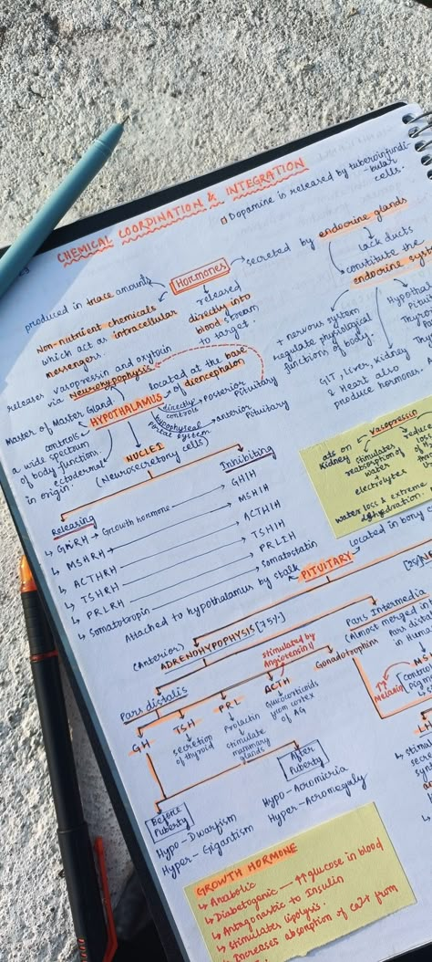 #biology #notes #ncert Organisms And Population Notes, Living World Class 11 Notes Neet, Chemical Coordination Notes, Cockroach Notes Neet, Biology Short Notes For Neet, Neet Notes Aesthetic, Neet Short Notes, Short Notes Ideas Study, Neet Exam Notes Biology Tricks