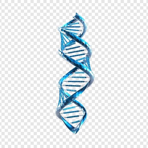 Free PSD 3d blue dna helix sequence elem... | Free Psd #Freepik #freepsd #blue #structure #life #spiral Structure Life, Life Spiral, Dna Structure, Dna Helix, Genetic, Free Psd, Vector Photo, Helix, Transparent Background