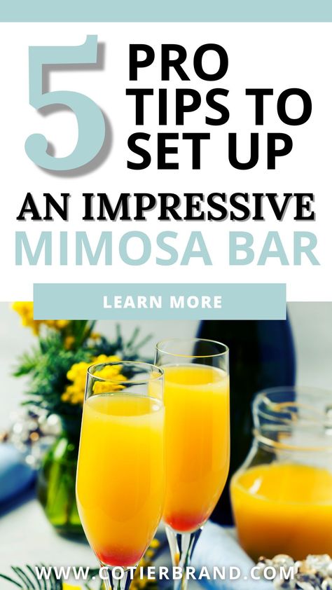 Wondering how to make a mimosa bar like a pro party stylist? Follow these four simple steps and you'll be well on your way to creating a beautiful set up. Mimosa Bar Ideas Birthday, Diy Mimosa, Mimosa Party, Fruit Garnish, Brunch Bar, Ladies Brunch, Mimosa Recipe, Stemless Champagne Flutes, Couple Wedding Shower