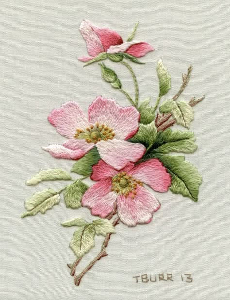 Rose Embroidery Pattern, Embroidery Rose, Crewel Embroidery Patterns, Ideas Embroidery, Crewel Embroidery Kits, Baby Knits, Embroidery Flowers Pattern, Rose Embroidery, Silk Ribbon Embroidery