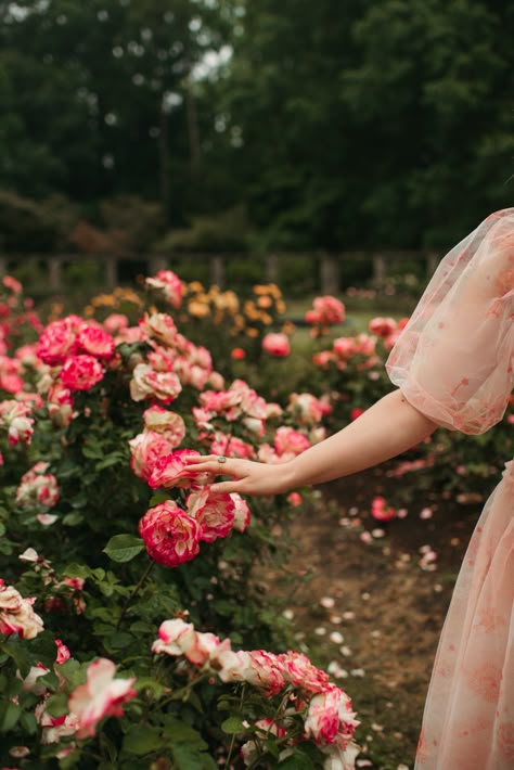 Garden Rose Aesthetic, Aesthetic Rose Garden, Garden Roses Aesthetic, Rose Garden Aesthetic Vintage, Photoshoot In The Garden, Photo Ideas In Garden, Garden Shoot Ideas, Rose Garden Photoshoot Ideas, Roses Garden Aesthetic