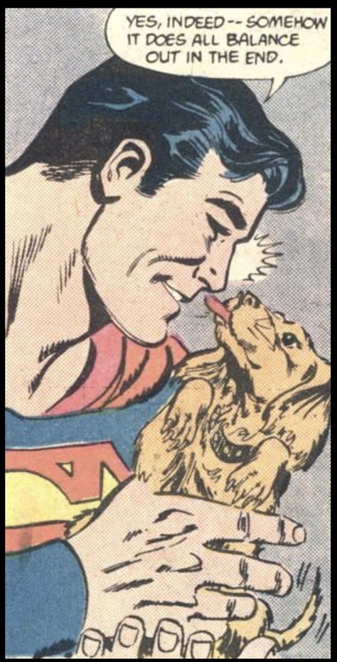 Superman Comic Panels, Drunk Cat, Retro Comic Art, Comic Pop Art, Dark Jokes, Dapple Dachshund, Vintage Pop Art, Comic Book Panels, Bd Comics