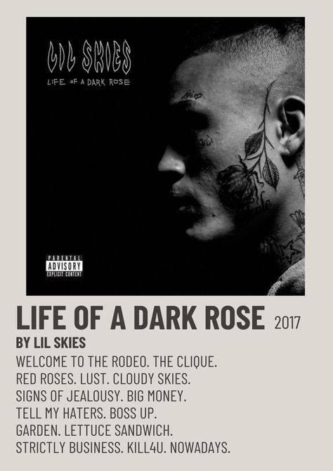 LIL SKIES LIFE OF A DARK ROSE 2017 Alternative Minimalist Polaroid Poster Lil Skies Album Poster, Life Of A Dark Rose Album Cover, Lil Skies Album Cover, Lil Skies Life Of A Dark Rose, Lil Skies Album Cover Wallpaper, Lil Skies Poster, Lil Skies Lyrics, Polaroid Album Cover, Polaroid Albums