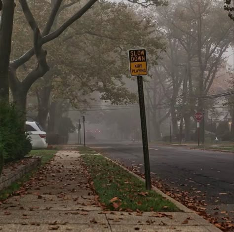 Eerie Town Aesthetic, Midwestern Fall Aesthetic, Mystery Town Aesthetic, Spooky Town Aesthetic, Foggy Town Aesthetic, Small Town Midwest Aesthetic, Small Town Fall Aesthetic, Small Town Mystery Aesthetic, Midwest Gothic Aesthetic