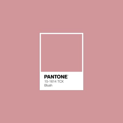 #Pantone Pink Blush #luxurydotcom Blush Pantone, Light Pink Pantone, Blush Pink Pantone, Pantone Pink Shades, Pantone Peach Pink, Pantone Quartz Pink, Pantone Swatches, Stile Boho Chic, Pantone Palette