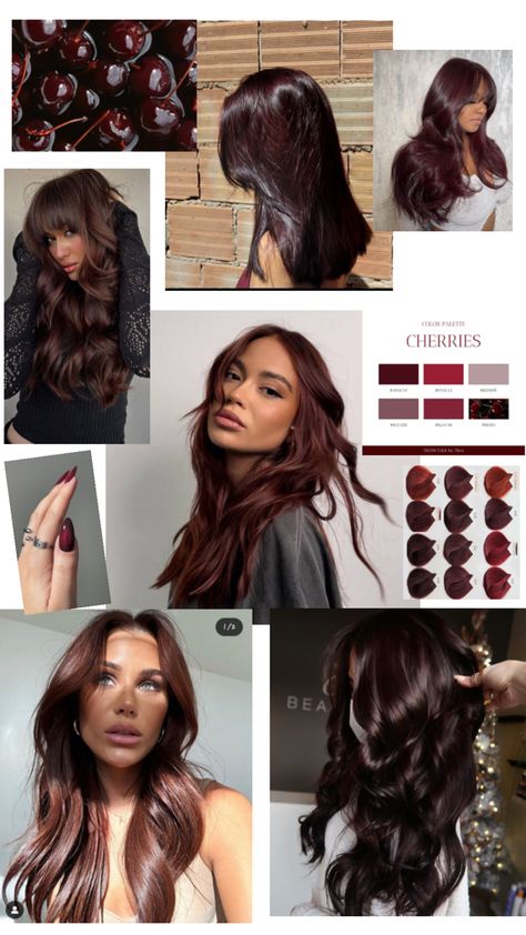 Chocolate Cherry Hair Color, Chocolate Brunette Hair, Cherry Brown Hair, Black Cherry Hair Color, Black Cherry Hair, Cherry Hair Colors, Wine Hair Color, Hair Color Chocolate, Wine Hair