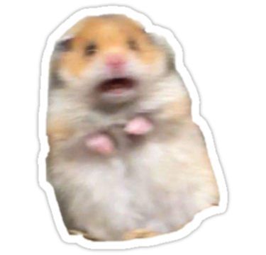 Screaming Hamster, Hamster Sticker, Hamster Meme, Funny Hamsters, Homemade Stickers, Snapchat Stickers, Red Bubble Stickers, Bubble Stickers, Stickers Cool