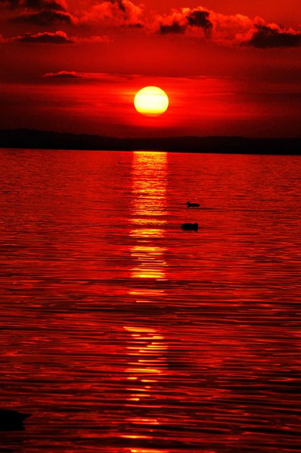 The sunset at Lazise,Lake of Garda Italy. Tramonto Lazise it. by Elias Arcos Hdez, Province of Verona Veneto #sunset #redsunset #Italy #ravishingred Garda Italy, 2023 Trends, Amazing Sunsets, Red Walls, Beautiful Sunrise, Red Wallpaper, Beautiful Sky, Red Aesthetic, Beautiful Scenery