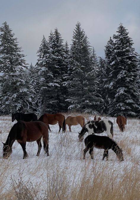 Winter In The Country, Winter Cowboy Aesthetic, Western Winter Aesthetic, Winter Country Aesthetic, Country Winter Aesthetic, Western Christmas Aesthetic, Christmas Horse Wallpaper, Country Christmas Wallpaper, Country Christmas Aesthetic