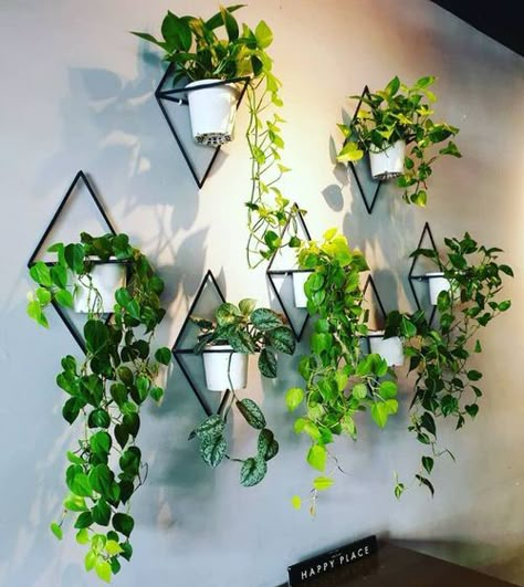 28 Artistic Plant Wall Art Ideas for Home Décor | Balcony Garden Web Wall Plants Indoor, Wall Plants, Plant Display Ideas, Indoor Plant Wall, نباتات منزلية, Air Fresh, Hanging Plants Indoor, Plant Room, Plant Decor Indoor