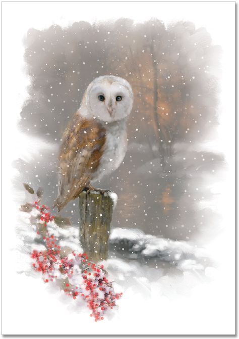 Winter Owl Small Boxed Holiday Cards (Christmas Cards, Greeting Cards): Peter Pauper Press: 9781441321060: Amazon.com: Books Christmas Owl Art, Woodland Animal Crafts, Drawings Of Birds, Owl Christmas Card, Snowy City, Peter Pauper Press, Winter Owl, Owl Christmas, Paintings Tutorials