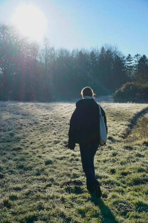 sunny winter day aesthetic forest Cold Nature Aesthetic, My January Aesthetic, Calm Winter Aesthetic, Instagram Inspo Aesthetic Winter, Cold Sunny Day Aesthetic, Snowy Spring Aesthetic, Cold Forest Aesthetic, Winter Without Snow Aesthetic, She Was Born In January Aesthetic