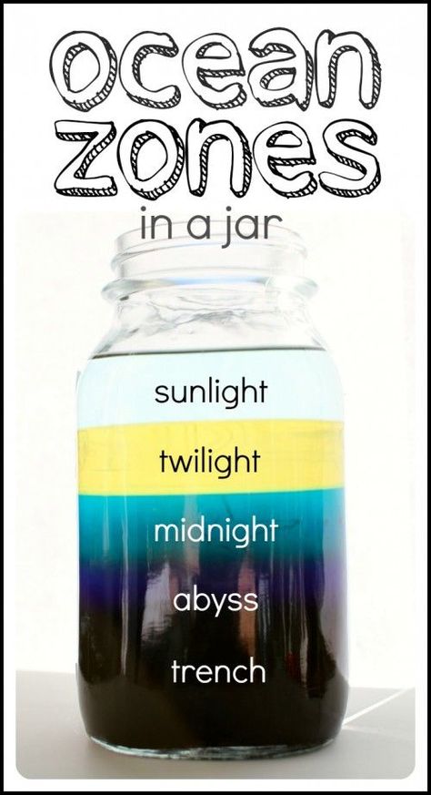 Ocean zones (the layers of an ocean) in a jar {I Can Teach My Child} #Science Vetenskapliga Experiment, Layers Of The Ocean, Ocean Zones, Science Experience, Cool Science Fair Projects, Cc Cycle 1, Ocean Unit, Ocean Science, Science Projects For Kids