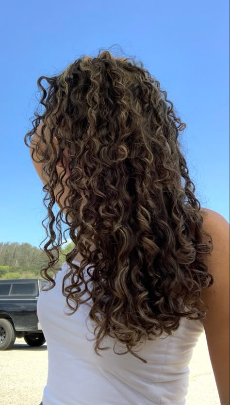 Brown Highlighted Curly Hair, Dream Curly Hair, Natural Highlights Curly Hair, Dark Curls With Highlights, Natural Highlights For Dark Brown Hair Curly, Cool Brown Curly Hair, Curly Hair Subtle Highlights, Sun Kissed Curly Hair Highlights, Curly Brown Hair Highlights