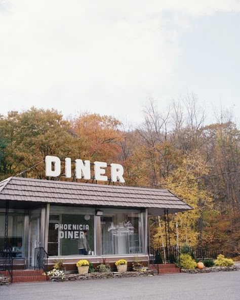 Autumn foliage of the Catskill Mountains / photo courtesy of phoeniciadiner.com You can order the Phoenicia Diner's cookbook using the #affiliate link below #diner #recipe #cookbook Catskills Ny Aesthetic, Cozy Diner Aesthetic, Upstate Ny Aesthetic, Catskills Aesthetic, Upstate Ny Fall, Phoenicia Diner, Catskills Ny, Lake George Village, Hiking Club