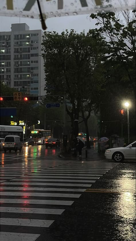 Street At Night, In The Rain, The Rain, At Night, Walking, Road, Cars, On Instagram, Instagram