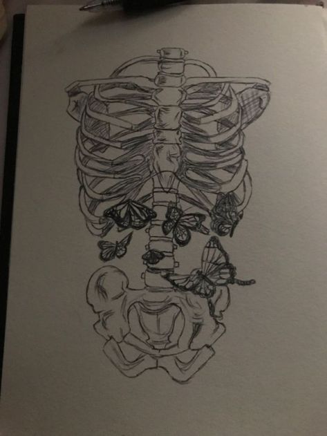 Xray Butterfly In Stomach, Ribcage With Butterflies Drawing, Butterflies In Skeleton Stomach, Butterfly Lungs Drawing, Ribs With Butterflies Drawing, Butterflies In Stomach Painting, Lungs With Butterflies, Skeleton With Butterflies In Stomach Drawing, Butterflies In Stomach Sketch