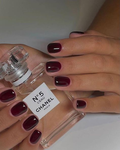 Cherry Wine Nails, Autumn Nails 2023, Black Cherry Nails, Deep Red Nails, Kutek Disney, Wine Nails, Dark Red Nails, September Nails, Cherry Wine