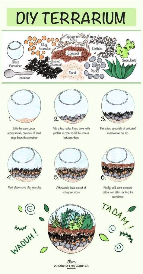 Terrariums Diy, Succulent Terrariums, Tanaman Air, Kaktus Dan Sukulen, Diy Succulent Terrarium, Idea For Mother's Day, Diy Terrarium, Terrarium Ideas, Beautiful Terrariums