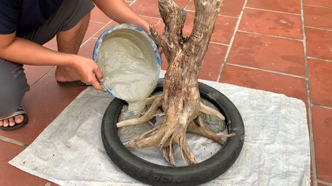 Cement Art Diy Ideas, Cement Garden Projects, Manualidades Para Jardin Ideas, Ferrocement Structures, Cement Art Diy, Ideas Para El Patio, Cement Tree, Garden Ideas Patio, Concrete Diy Garden