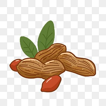 Nuts Drawing, Peanut Drawing, Peanut Illustration, Label Botol, Leaves Cartoon, Harvest Fruit, Food Clip Art, Peanut Ball, Nuts Snacks