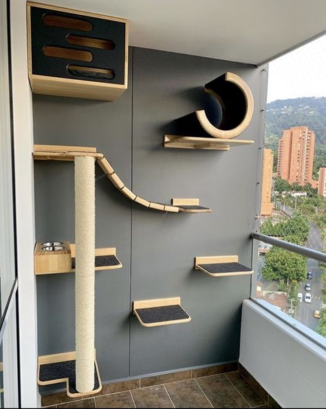 Wall Shelves For Cats, Takken Decor, Cat Room Decor, Cat Climbing Wall, Cat Furniture Design, Katt Grejer, Kat Diy, Cat Area, Cat Bedroom