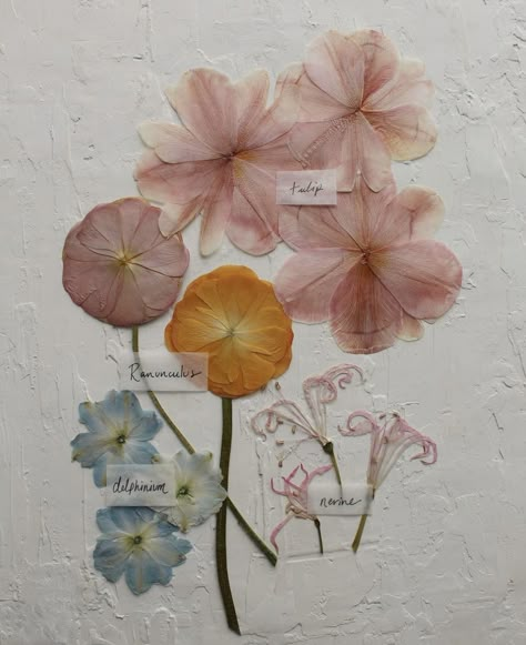 Herbarium Ideas, Framed Florals, Pressed Florals, Nordic Garden, Press Flowers, Flower Magic, Flower Pressing, Floral Preservation, Earth Gift