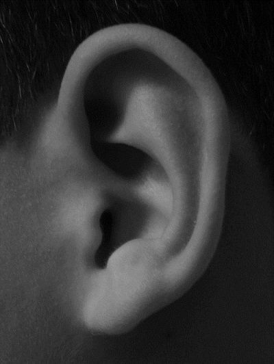 Ringing in the ears happens to most of us every once in awhile. However, for more than 16 million people living with tinnitus, that ringing happens Bod References, Ear References, Draw Ear, Ear Shapes, How To Draw Ears, Head Anatomy, Anatomical Art, Human Ear, 얼굴 그리기