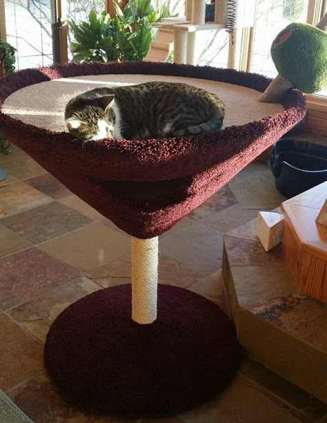 Martini Glass Cat Tree, Martini Cat Condo, Martini Cat Tree, Cat Room In Basement, Cat Decor Apartment, Room For Cats Ideas, Cat Stuff Aesthetic, Pretty Cat Tree, Cute Cat Trees