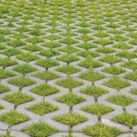 Grass Paving, Grass Driveway, Permeable Driveway, Grass Pavers, Lawn Borders, Permeable Paving, Yard Diy, Garden Grass, Water Flood