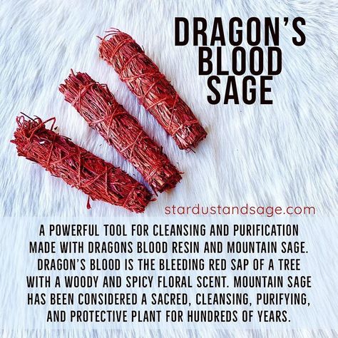 Dragons Blood Sage, Dragons Blood Incense, Smudging Prayer, Easy Juice Recipes, Juice Cleanse Recipes, Magickal Herbs, Sage Smudging, Wiccan Magic, Magic Herbs