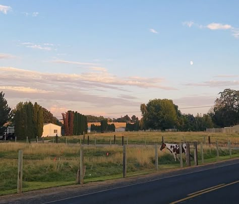 #aesthetic #country #western #horse #texas The Iron Claw Aesthetic, Appalachian Country Aesthetic, Western Texas Aesthetic, Country Americana Aesthetic, South Texas Aesthetic, Rural Texas Aesthetic, Western America Aesthetic, Hill Country Aesthetic, Old Texas Aesthetic