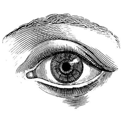 Engraving Style Illustration, Realistic Eye Drawing, Eye Illustration, Drawing Eyes, Realistic Eye, Engraving Illustration, Eye Eye, Cross Hatching, Human Eye