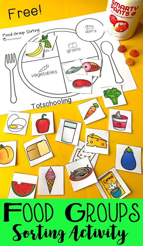 This food groups sorting activity is the perfect way to help kids learn the different food groups, as well as portion control. :: www.thriftyhomeschoolers.com Food Groups Preschool, Healthy Eating Kids, Healthy Food Activities, Preschool Food, Nutrition Activities, Food Activities, Food Pyramid, Food Groups, Food And Nutrition