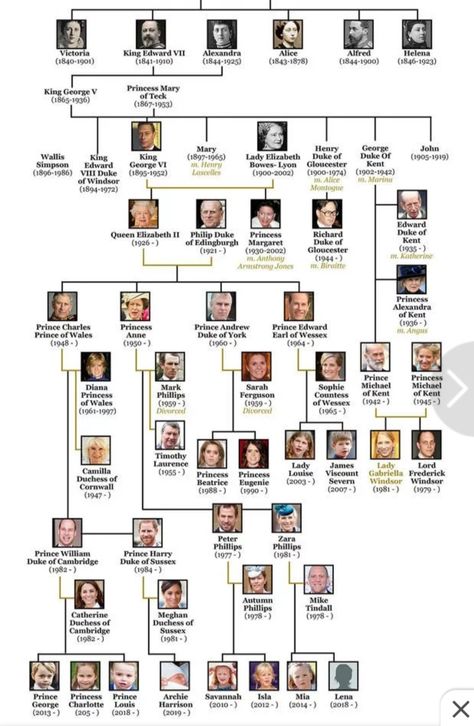 Windsor Family Tree, Queen Victoria Family Tree, Family Tree Wedding, Royal Family Weddings, British Royal Marines, British Royal Family Tree, Royal Family Christmas, Royal Family History, Royal Family Tree